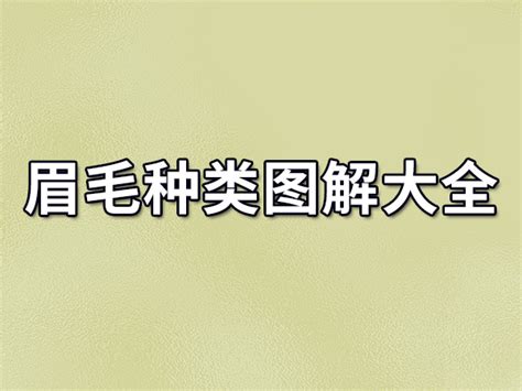 眉毛短短命|28种眉毛类型图文详细分析